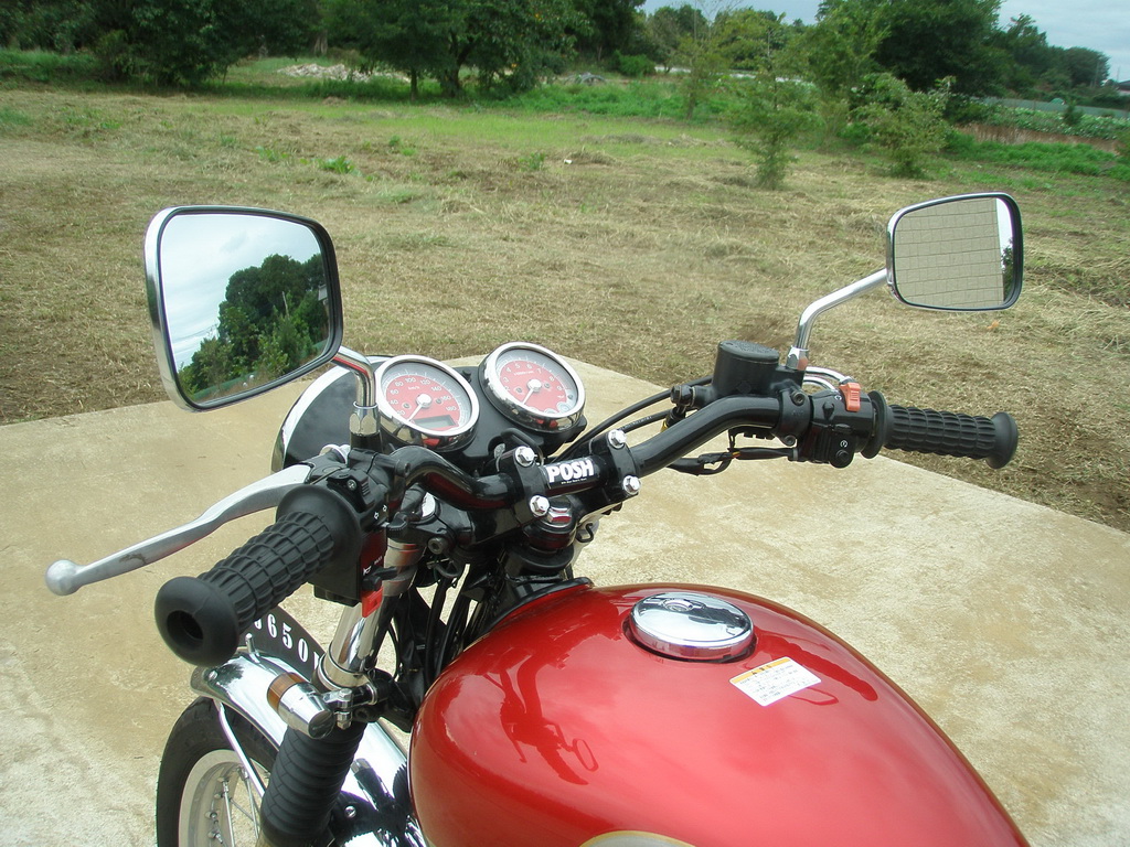 Купить мотоцикл Kawasaki W650 2006 фото 19
